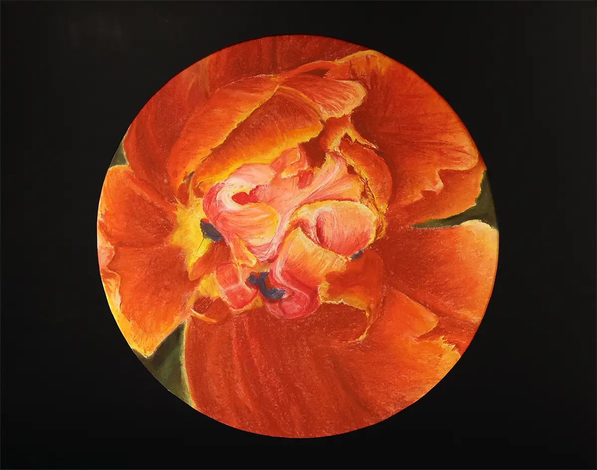 Cultivated Creations – Diploma Student Exhibition 2024 | Dundas Valley ...