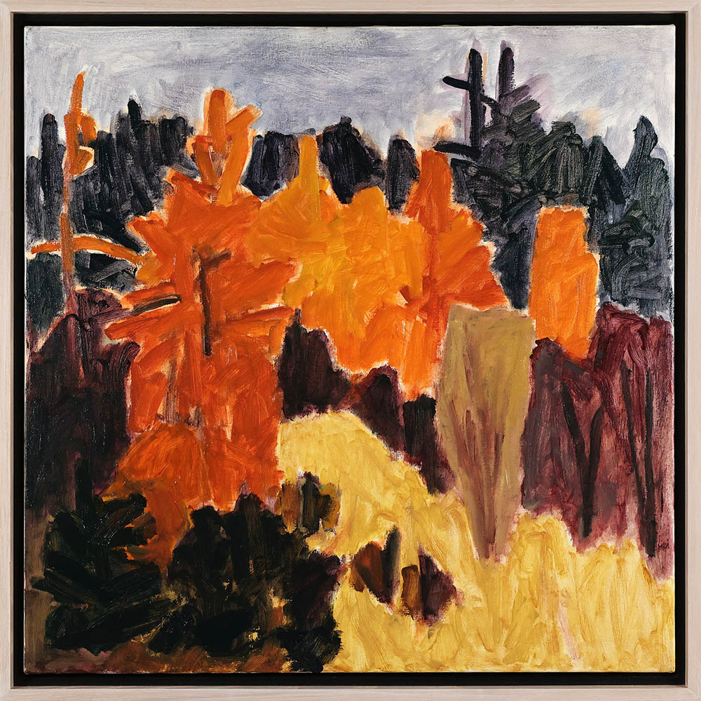 "Tamarack, North Bay" by Barry Hodgson