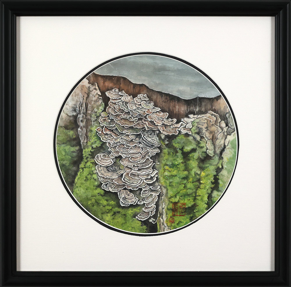 "Turkey Tail Fungus" by Karen Logan