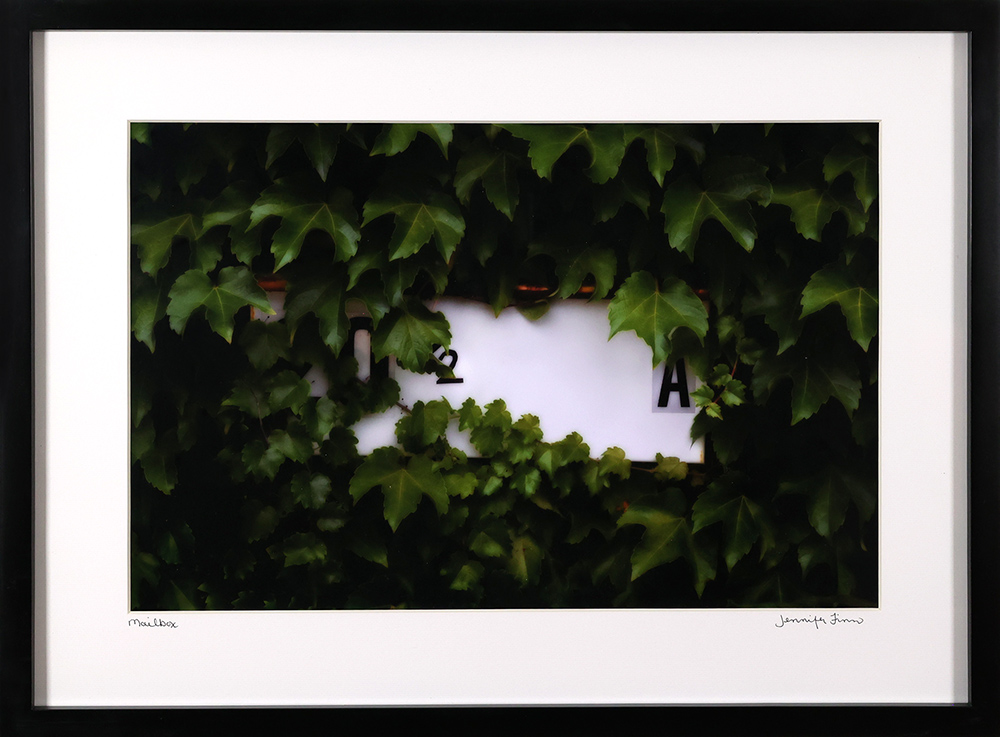 "Mailbox" by Jennifer Finn