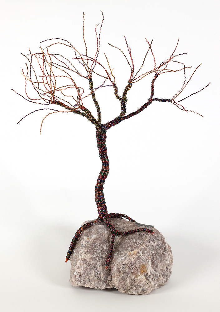 "Rainbow Tree Outlook" by John Novak